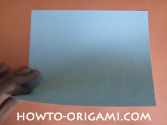 Wallet origami - How to make wallet origami instruction 1 - Kids origami